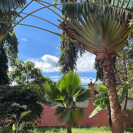 Bungalow X Garten & Terrasse X Wlan X Europaeisch Моши Екстериор снимка
